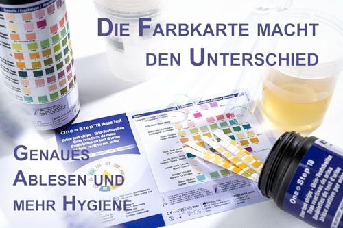 Urinanalyse Teststreifen 10 Parameter (100 Stück) mit Referenzfarbkarte