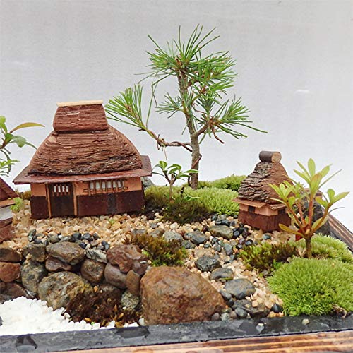 Amazon.co.jp: 父の日 盆栽 庄屋さん（S）手作りミニ庭園 苔
