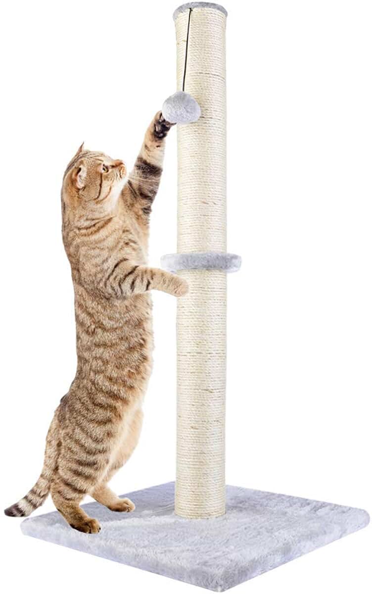 Amazon.co.uk Cat Scratching Posts Cat Scratching Posts / Cat Beds