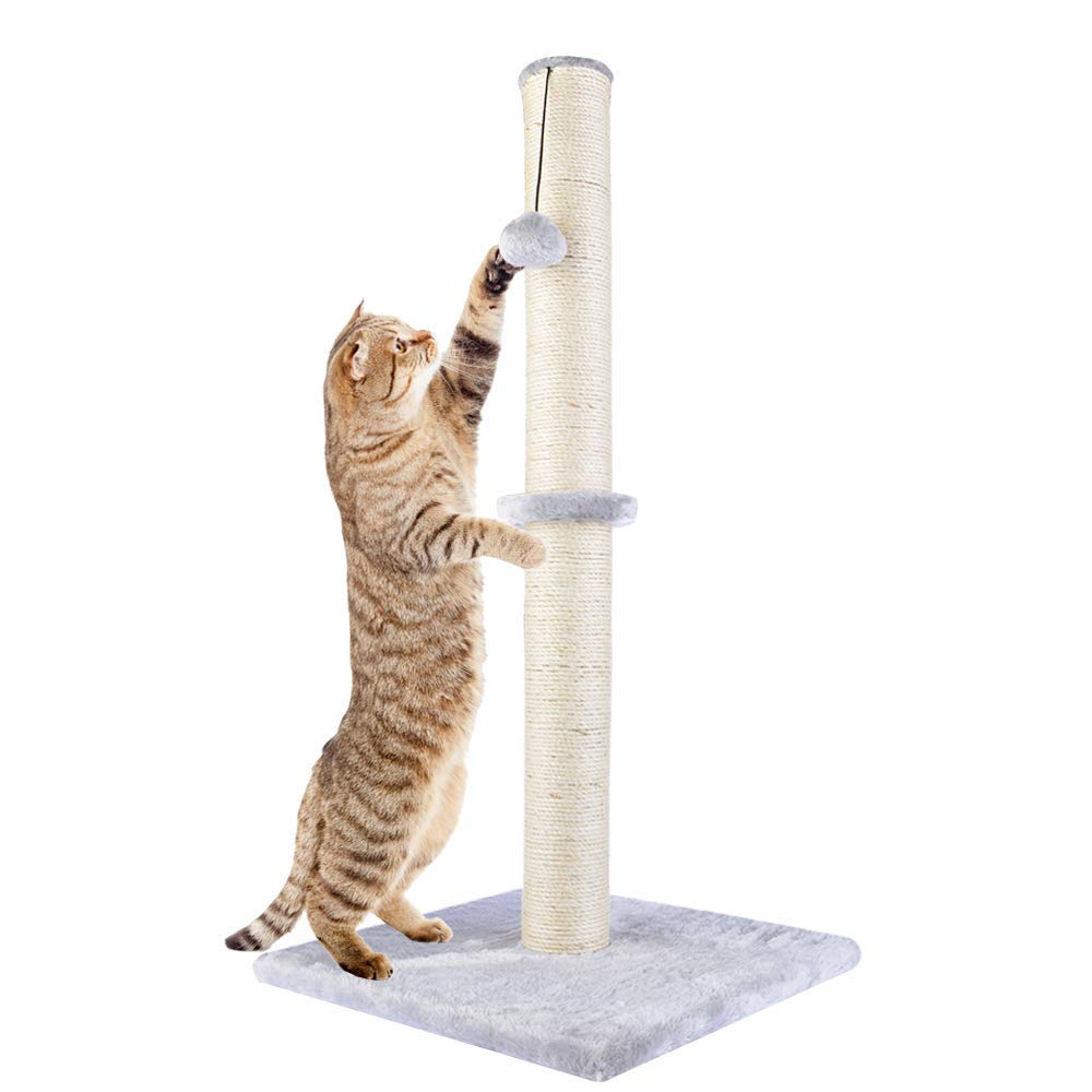 Buy Dimaka 74cm Tall Cat Scratching Post, Claw Scratcher Sisal Rope Covered Soft Smooth Plush