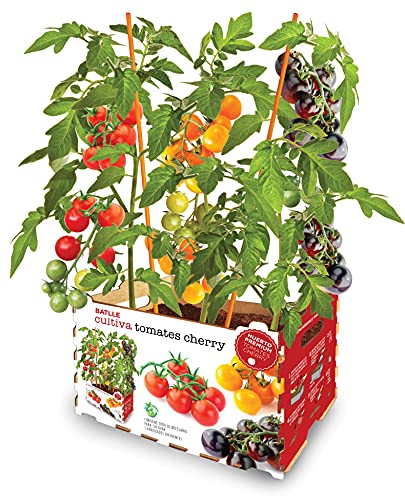 Huerto Premium TOMATES CHERRY