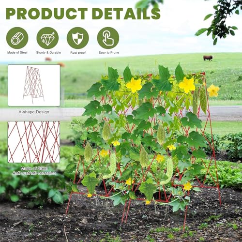 Treillis de concombre pliable gain de place pour petits potagers surélevés - 4