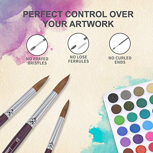 Lenbicki Sable Watercolor Brushes 6Pcs Superior Kolinsky Sable Hair Paint Brushes Round Pointed Tip Detail Artist Professional Watercolor Brush Set thumb #5