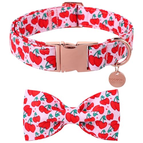 DOGWONG o^C̎ {tAsN`F[n[g̎ ϋv̂\tgRbg ybg̎ 킢n[g o^Cf[ qlbNX ^p