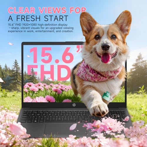 Image of HP Flagship 15.6 inch FHD Business Laptop, AMD Ryzen 7 7730U, 16GB RAM, 512GB PCIe SSD, Office 365 for the Web, Windows 11 Pro, Numeric Keypad, Webcam, Wi-Fi 6, Patented Accessory