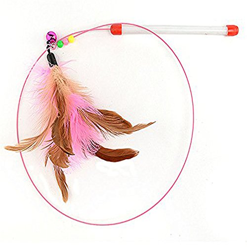 Katzen Spielzeug Giocattolo per Gatti a Molla con