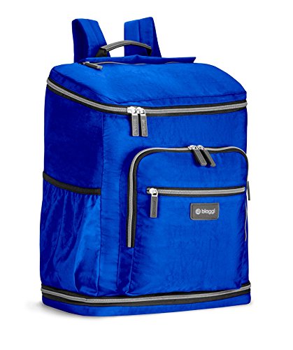 biaggi zipsak backpack