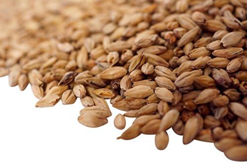 Muenchner Organic Malt 1 kg Bag for Grain mash