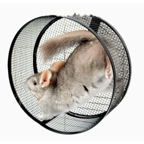 zornik TCgAnX^[zC[ - jOzC[X|[cjOzC[ǎtA͐ÂňSőϋv܂ (݂胂f 32cm gg//OEhzbO)