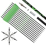 FENJANER Crossbow Bolts 20 Inch 12pcs with 6 Pcs of 3 Blade Hunting Broadheads,Crossbow Arrows for Hunting Target Practice (Green)