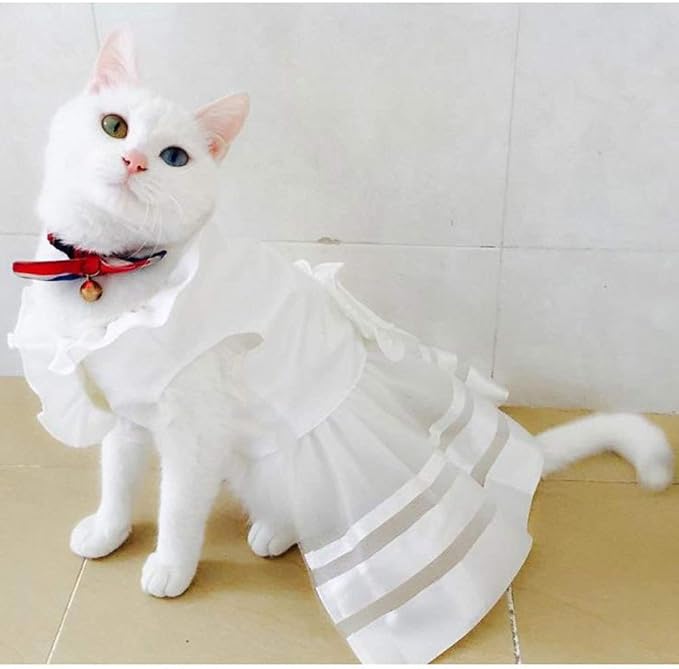 Amazon.com: Liangh - Disfraz de gato para gatos, vestidos de princesa, para  perro, Navidad, Año Nuevo, cachorro, gatito, coleta., D, XS : Productos  para Animales