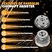 PANGOLIN 2PCS CVVT Timing Camshaft Gears Sprockets VVT Cam Phaser for Lincoln Mustang Taurus Navigator Edge F-150 3.5L 3.7L, Replace OE AT4Z-6C525-B AT4Z-6256-B