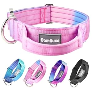 Tactical Dog Collar, Wide Thick Heavy Duty Dog Collar with Handle, Soft Neoprene Padded Military-Grade Nylon Training Collar with Quick Release Metal Buckle for Large Dogs (Pink, L,XL)