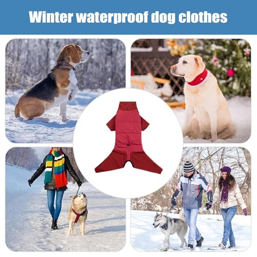 Vêtements pour chiot contre le froid à col montant