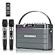 Karaoke-Maschine - 100W Bluetooth-Lautsprecher mit Super Bass, 2 drahtlose Mikrofone, tragbares PA-System mit LED-Leuchten, TWS-Paarung, Bass/Höhen/Echo-Einstellung, professioneller Lautsprecher