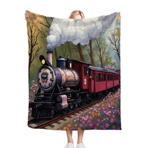 Couverture polaire 220x240 train rouge pour grand lit king size