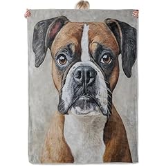 Boxer Dog