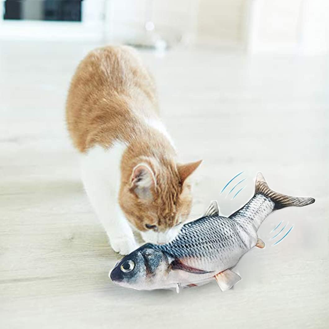 fish play for cats