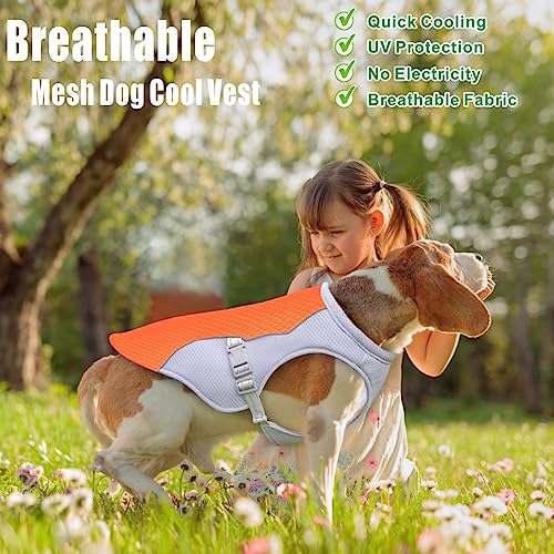 Dolahovy Cooling Vest Harness, Breathable Mesh Dog Cool Jacket With Adjustable Summer Coat - Image 3