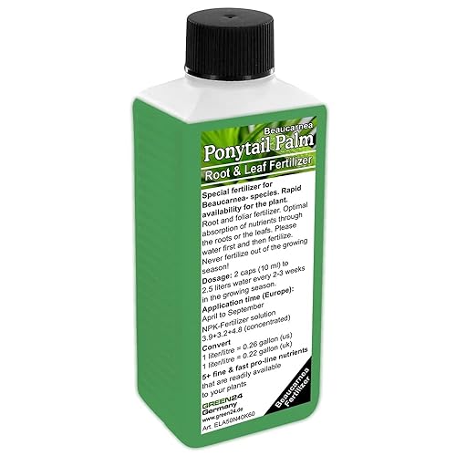 Beaucarnea (palma de cola de caballo, árbol de pie de elefante), fertilizante líquido HighTech NPK, fertilizante foliar de suelo de raíz, alimento