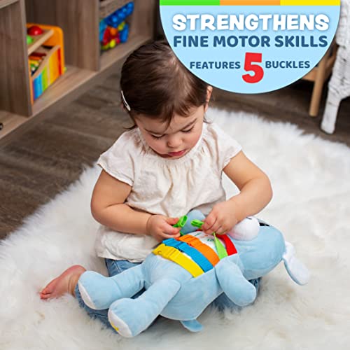 Buckle Toys - Barkley Dog - Plush Animal Learning Toy - Develop Fine Motor Skills - Counting And Color Recognition Stuffed Animal - Perfect Travel Toddlers Essentials #TOP1