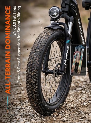 sepado 2000W Electric Bike