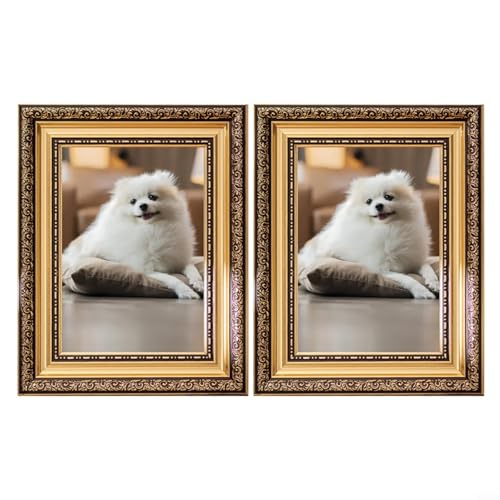 2 marcos colgantes decorativos vintage con diseño vacío para mostrar fotos y obras de arte (20,3 x 25,4 cm)