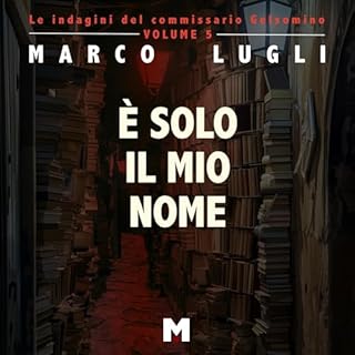 &Egrave; solo il mio nome copertina