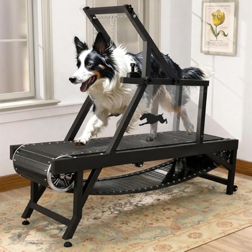 Photo of a medium-sized dog using a slat mill treadmill in a home living room setting