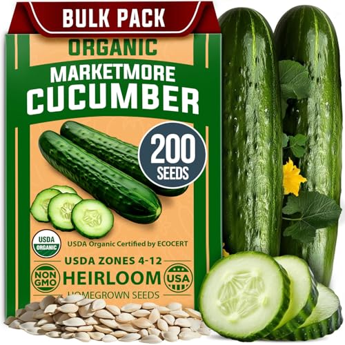 HOME GROWN Non GMO Organic Cucumber Seeds - 200 Marketmore Heirloom Vegetable Seeds for Planting in Trellises, Raised Beds, Containers (Cucumis sativus)