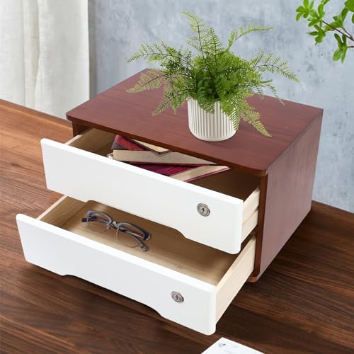 LOHISHILO 2-Tiers Wooden Desktop Storage Box with Lockable Drawers, Office Supplies File Organizer, Flat File Cabinet Store Stamps, Sticky Notes, Paper Clips, Scissors, for Office, Walnut&White Color
