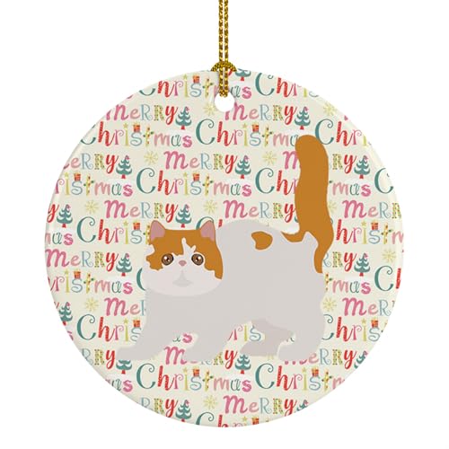 Caroline's Treasures Exotic Shorthair #4 Cat Christmas Ceramic Ornament Christmas Tree Hanging Decorations for Home Christmas Holiday, Party, Gift, 3 in, Multicolor