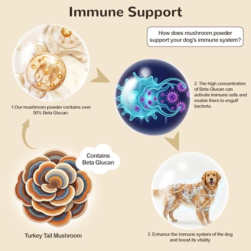Image of Organic Turkey Tail Mushroom for Large Dogs - Over 50% Beta Glucan - 10-in-1 Mushroom Powder for Immune & Gut Support - Dog Mushroom Supplements for Lumps and Bumps - Chicken Flavor, 200g