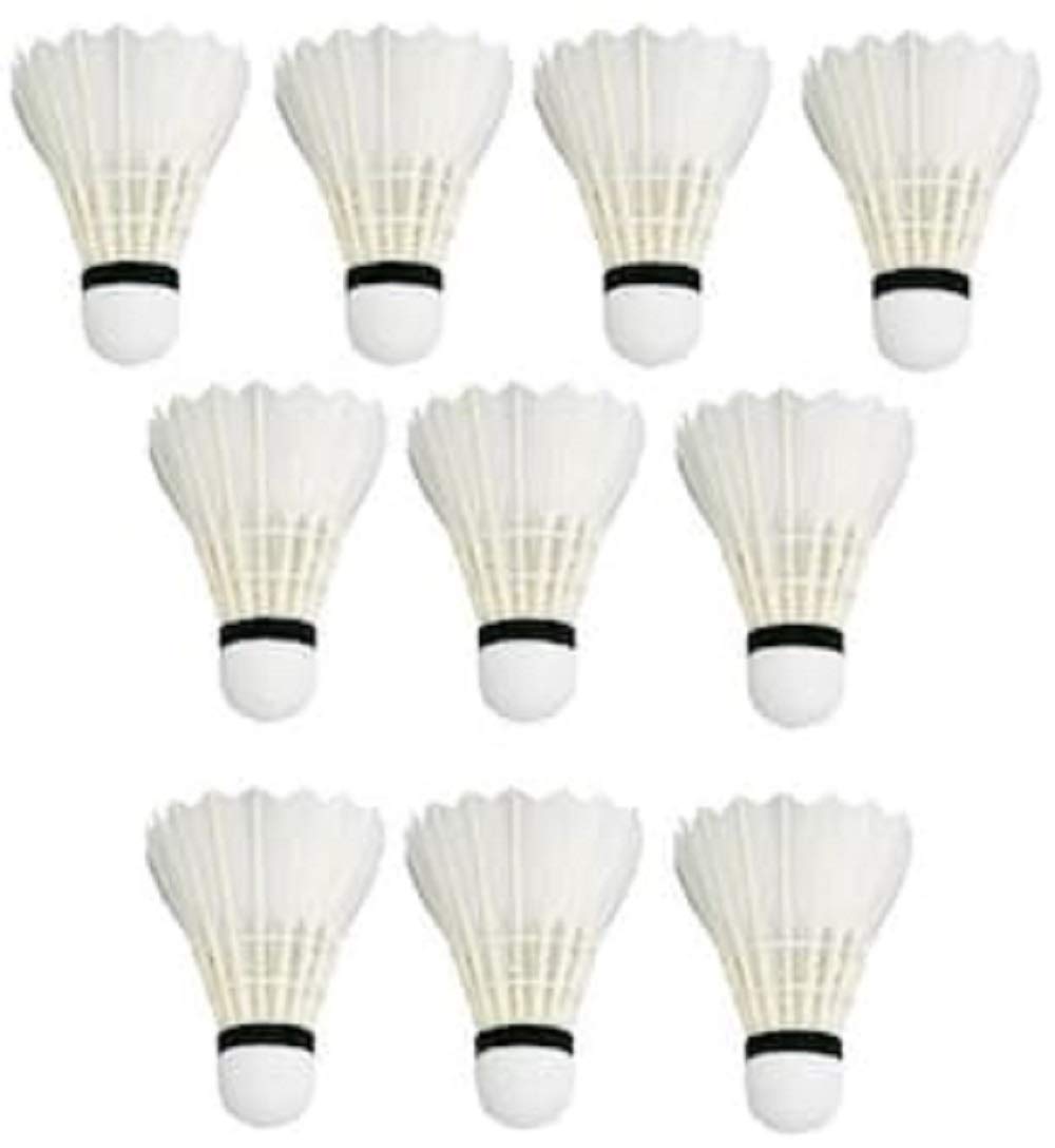 NCR Export SportsFeather Badminton Shuttlecock standered Size(Pack of 10).Badminton Shuttlecock-image-48