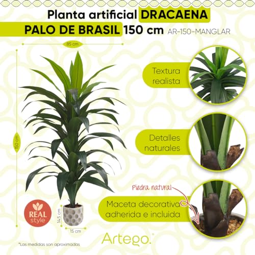 Listado y reviews de Tronco brasil los más recomendados. 11 Listado y reviews de Tronco brasil los más recomendados. 5