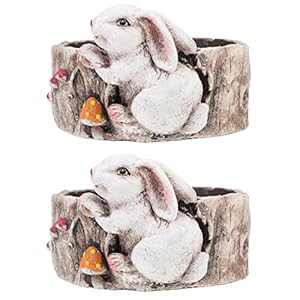 EXCEART 2 Stuks Cartoon Konijn Bloempot Konijntje Paddestoel Sappig Planter Hars Bonsai Houder Pasen Mand Voor…