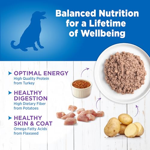 Image of Wellness Simple Limited Ingredient Diet Adult Canned Wet Dog Food, Wholesome Grains, Natural, Turkey and Potato Recipe, 12.5 oz, Pack of 12 Cans
