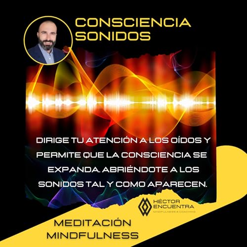 Meditaci&oacute;n Consciencia de los Sonidos
