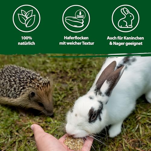 Eggersmann volaris Haferflocken 2 kg – Vogelfutter für Wildvögel – Haferflocken ideal auch als Tierfutter für Igel, Kaninchen & Nager – Wildvogelfutter geeignet für die Ganzjahresfütterung