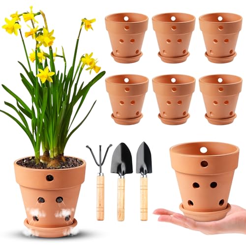 FELISTORY 4 Inch Terracotta Orchid Pots with Holes and Saucers, 6 Pack Small Terra Cotta Clay Orchid Planter Pots for Plant Flower Pots for Orchid Indoor and Outdoor Promotes Air Circulatio
