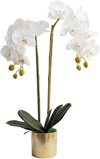 SECFIT Flores Artificiales Flor Artificial Modernos Falsos Simple de la Flor del Phalaenopsis florero Juego de Sala decoración del hogar Plantas Artificiales Plantas Artificiales Adornos (Color : B)