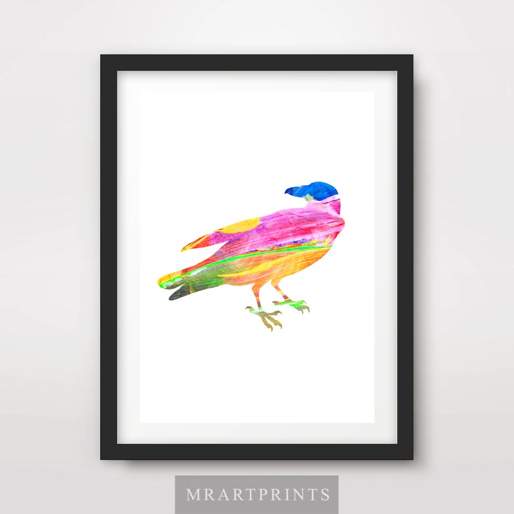 ANIMAL SILHOUETTE CROW BLACKBIRD BIRD ART PRINT POSTER Bright Colour Colourful Modern Contemporary Illustration Painting Home Decor Interior Design Wall Photo Picture A4 A3 A2 (10 Sizes)