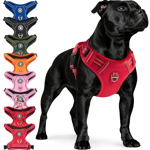 Reichstadt Pets Hundegeschirr – Verstellbares No-Pull Geschirr mit Griff & Reflektoren | Atmungsaktiv, Gepolstert & Strapazierfähig | Sicherheitsgeschirr für Mittlere Hunde 25RSP083 Red M
