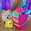 SmartPetLove Snuggle Puppy Tender-Tuffs Small Dog Toys - Dolphin Dog Toy for Small Breeds with Puncture Resistant Squeaker