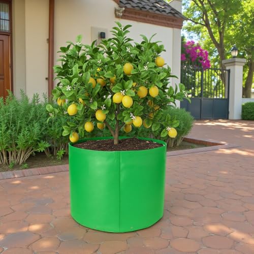Image of HDPE UV Treated 340 GSM Plant Growing Bags for Terrace Gardening Easy to Use 18 x 18 Inch - Pack of 2