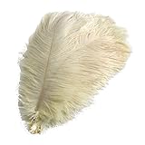 AMateschitz Plumas de avestruz naturales de 30 a 35 cm, hermosas plumas de avestruz, plumas decorativas, para manualidades, manualidades, bodas, fiestas, disfraces, decoración del hogar, color beige,