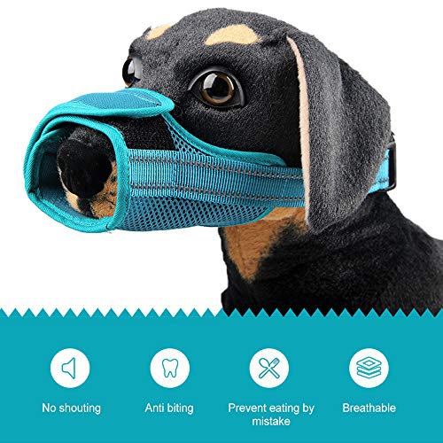 Elinala Museruola Antiabbaio, Museruola per Cane