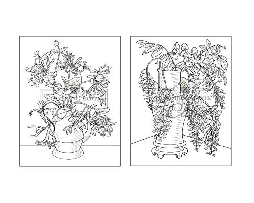 100 Beautiful Flowers Coloring Book: An Adult Coloring Book Featuring 100 Beautiful Flower Designs I