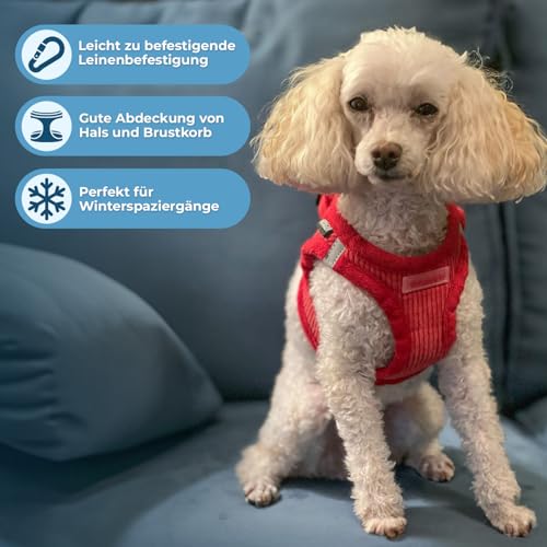 Voyager Step-In Plüsch-Hundegeschirr by Best Pet Supplies - Step-In-Westengeschirr für kleine und mittelgroße Hunde, Weicher Plüsch, Roter Kordr, size S - Brust 37-40 cm