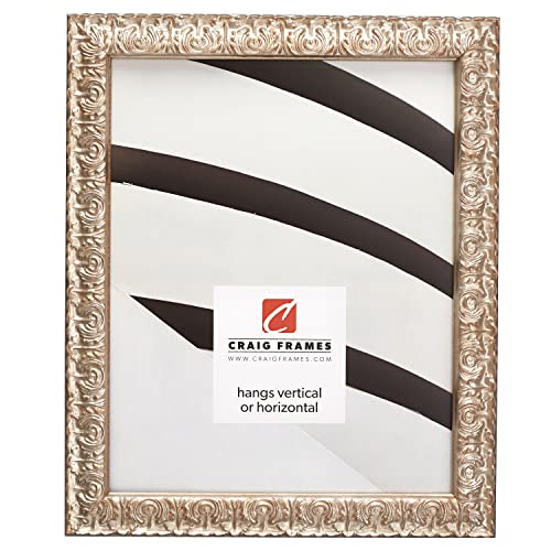 Craig Frames Versailles, 6x9 Picture Frame, Ornate Silver